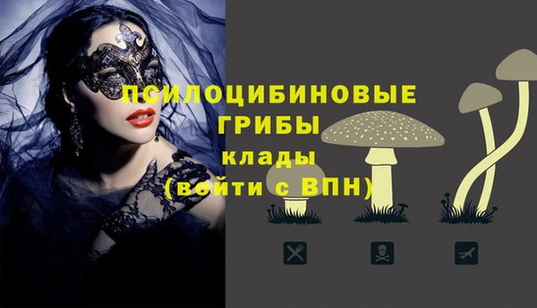 бошки Каменка