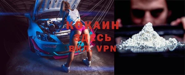 бошки Каменка
