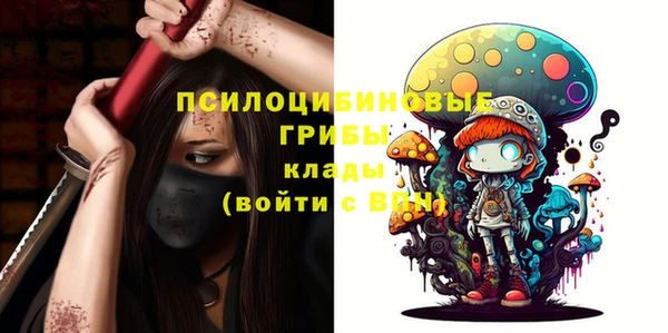 бошки Каменка