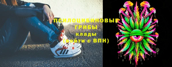 прущая мука Каменногорск