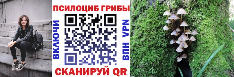 Псилоцибиновые грибы Magic Shrooms  Купить  Зверево 